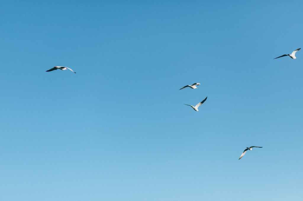 You need a beautiful mind to find the power that has buried in you. The power that you require to manifest anything.